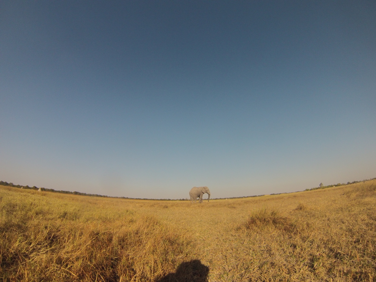 [25738] 2016_06_30_15_04_53_Africa_Hero3-Silver_Edition_IMG__00675.jpg