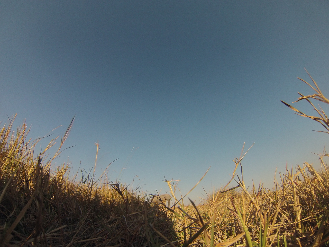 [25750] 2016_06_30_15_05_01_Africa_Hero3-Silver_Edition_IMG__00679.jpg