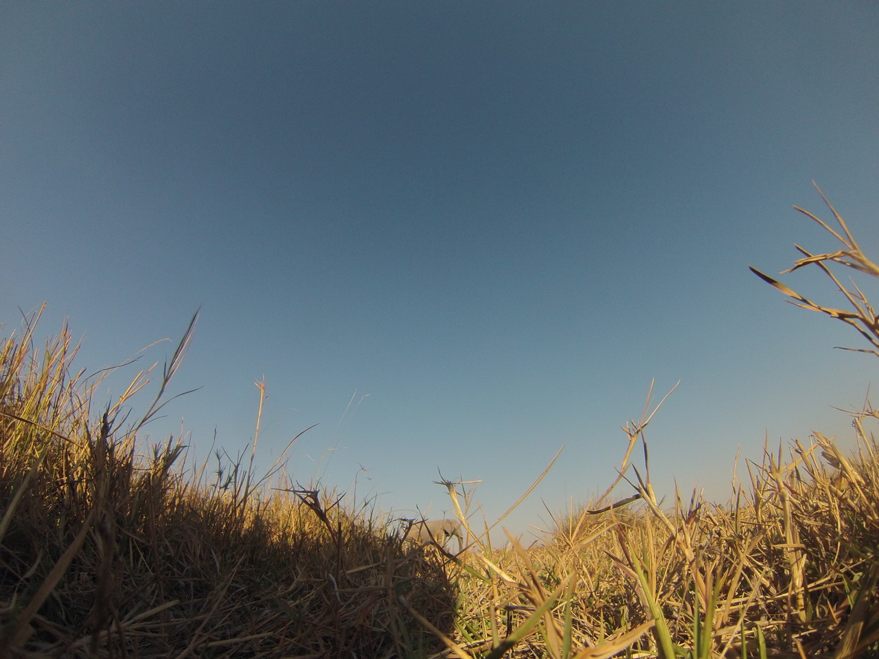 [25756] 2016_06_30_15_05_05_Africa_Hero3-Silver_Edition_IMG__00681.jpg