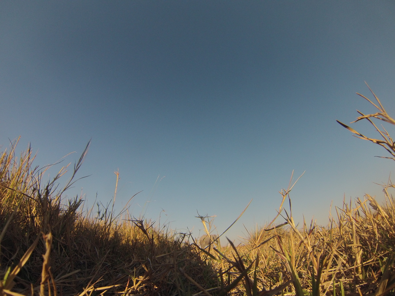 [25765] 2016_06_30_15_05_11_Africa_Hero3-Silver_Edition_IMG__00684.jpg