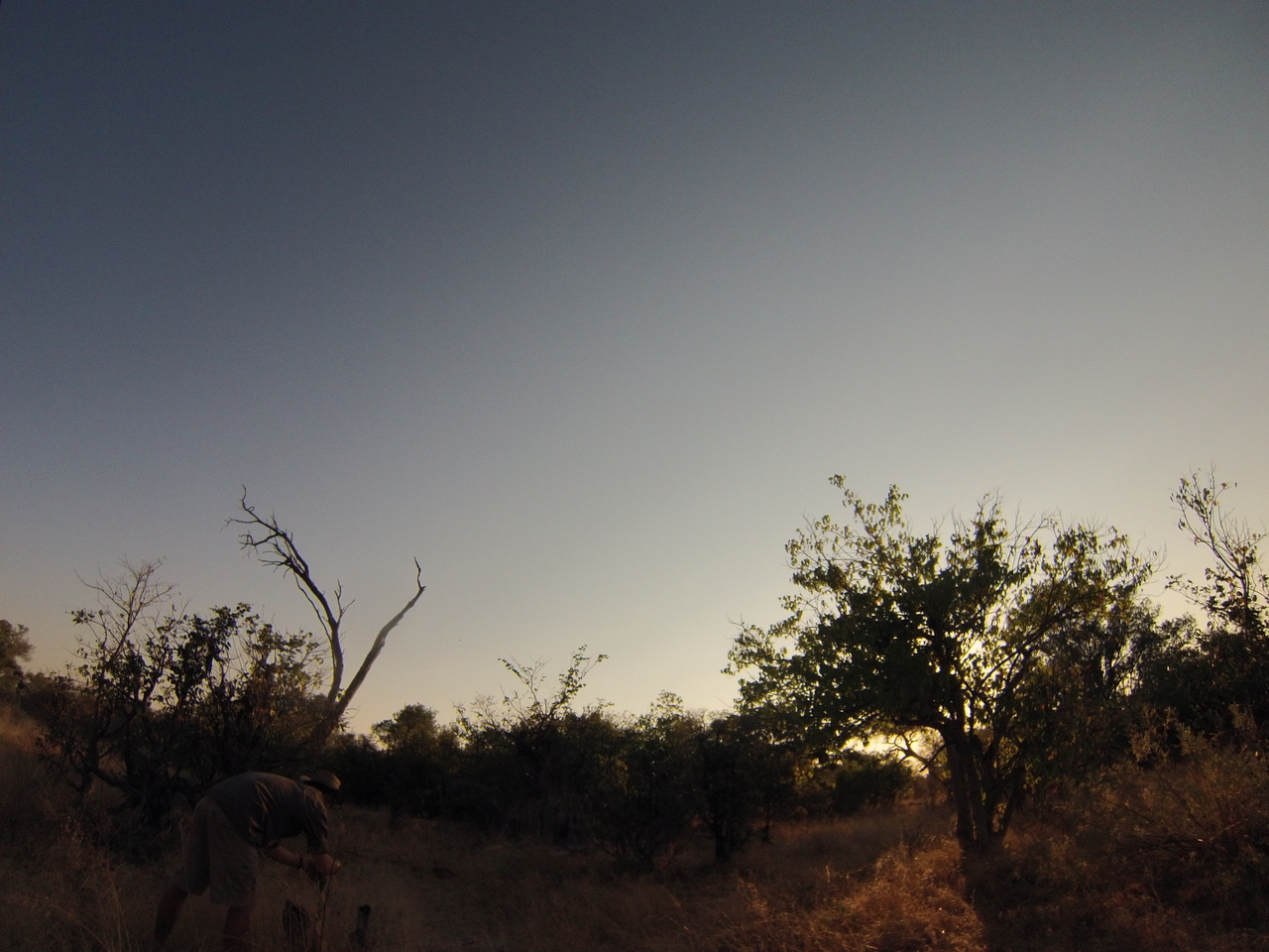 [25829] 2016_06_30_16_04_02_Africa_Hero3-Silver_Edition_IMG__00696.jpg