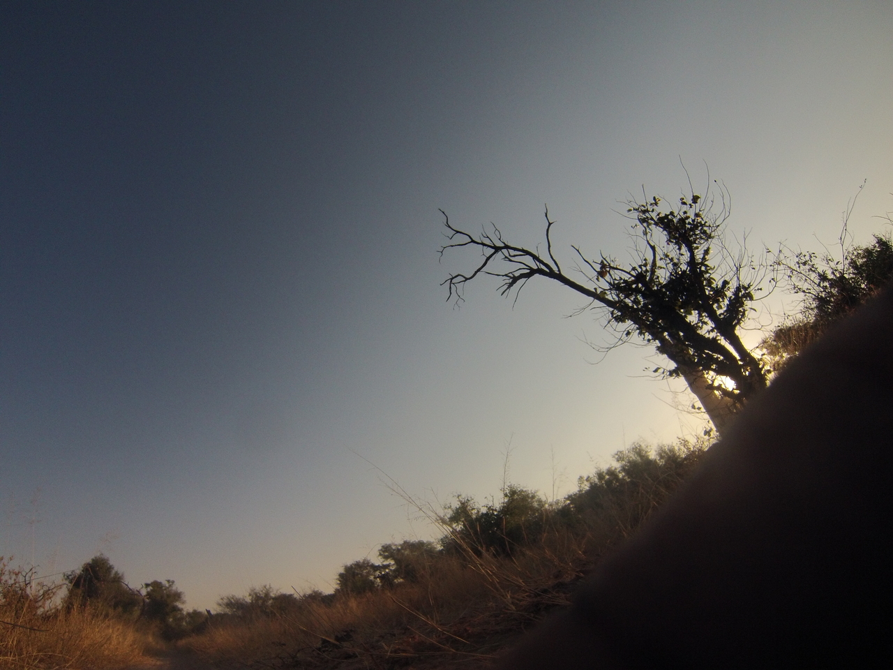 [25881] 2016_06_30_16_04_30_Africa_Hero3-Silver_Edition_IMG__01656.jpg