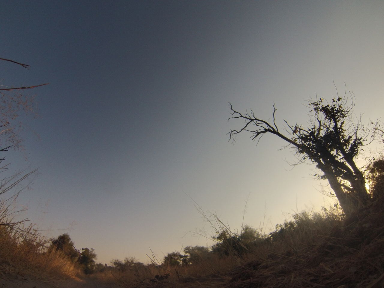 [26156] 2016_06_30_16_07_36_Africa_Hero3-Silver_Edition_IMG__00802.jpg