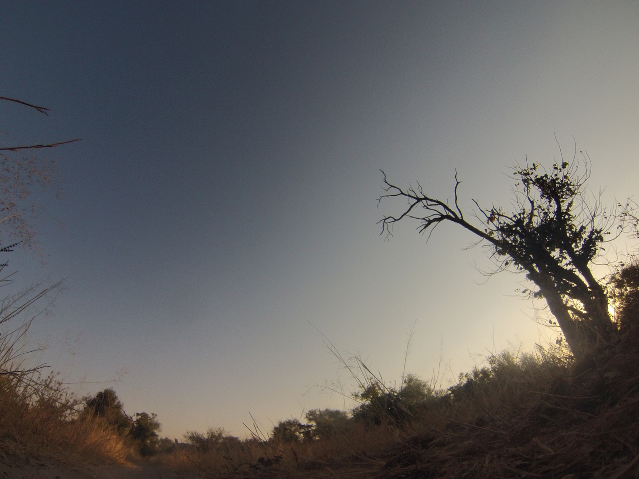 [26240] 2016_06_30_16_08_32_Africa_Hero3-Silver_Edition_IMG__00830.jpg