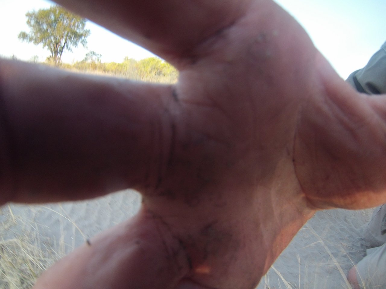 [26478] 2016_06_30_16_20_09_Africa_Hero3-Silver_Edition_IMG__01851.jpg