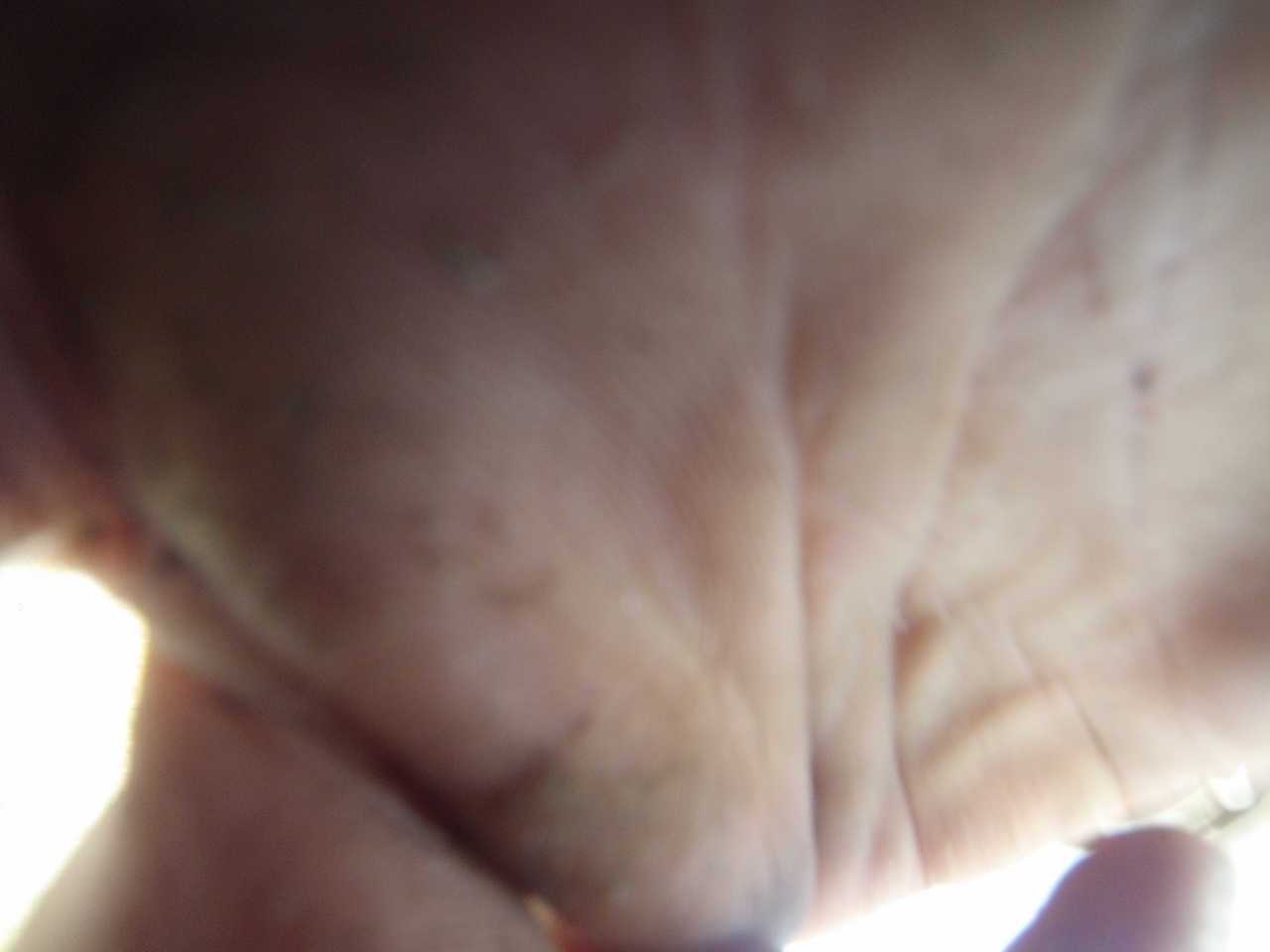 [26493] 2016_06_30_16_20_19_Africa_Hero3-Silver_Edition_IMG__01856.jpg