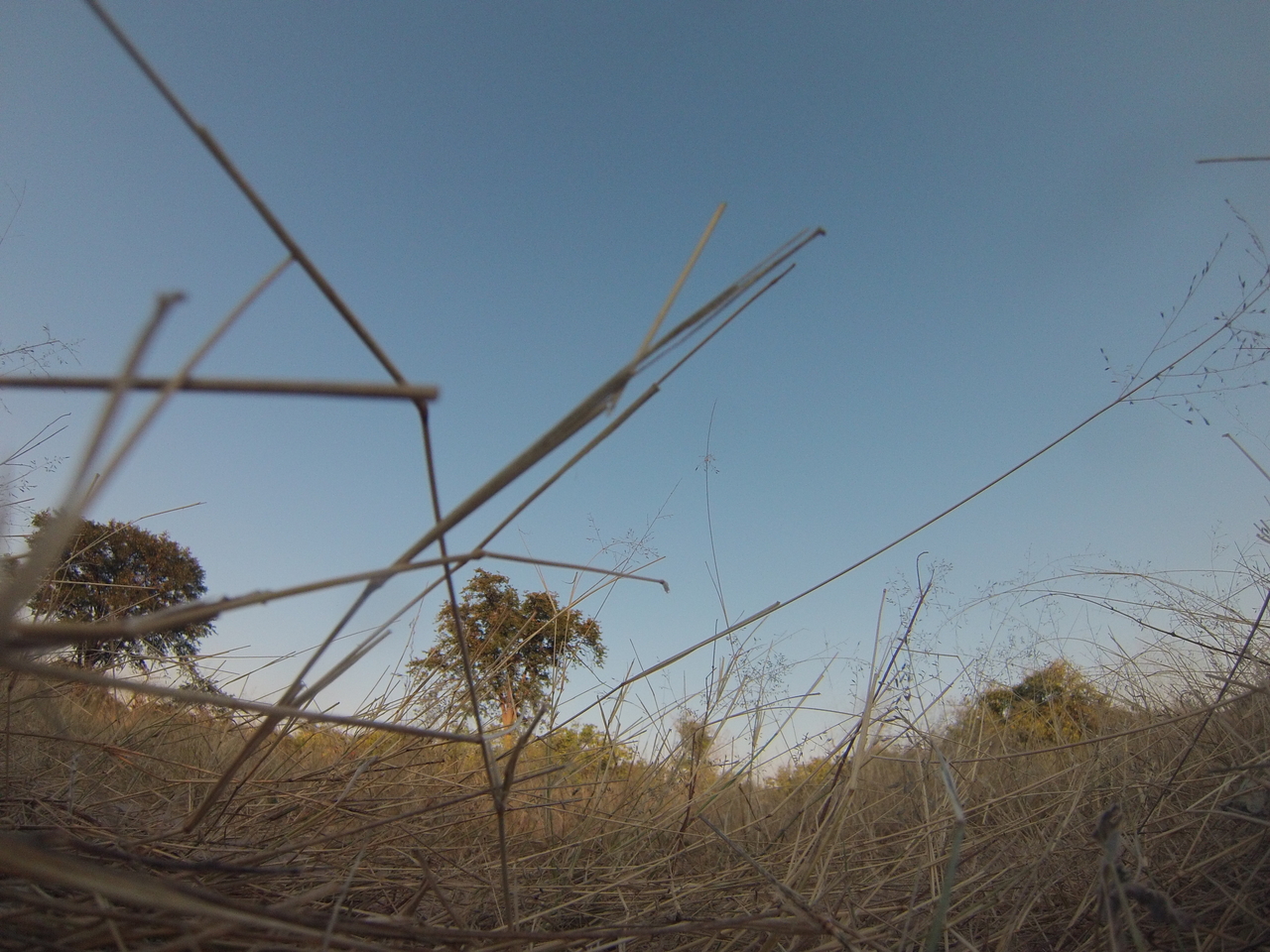 [26530] 2016_06_30_16_20_43_Africa_Hero3-Silver_Edition_IMG__02316.jpg