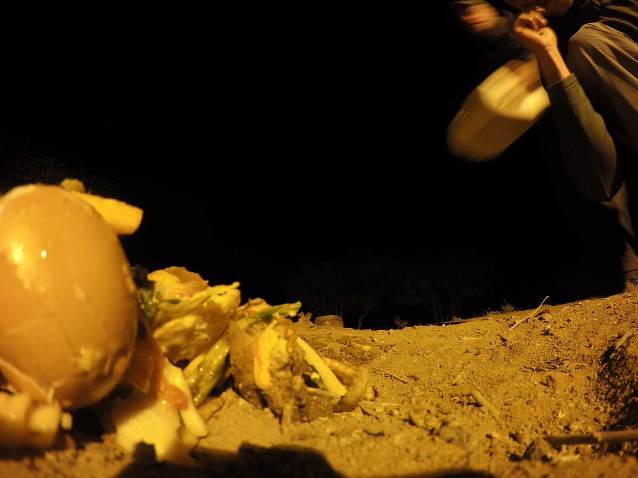 [10112] 2016_06_23_19_00_11_Africa_HERO4_Silver_IMG__00013.jpg