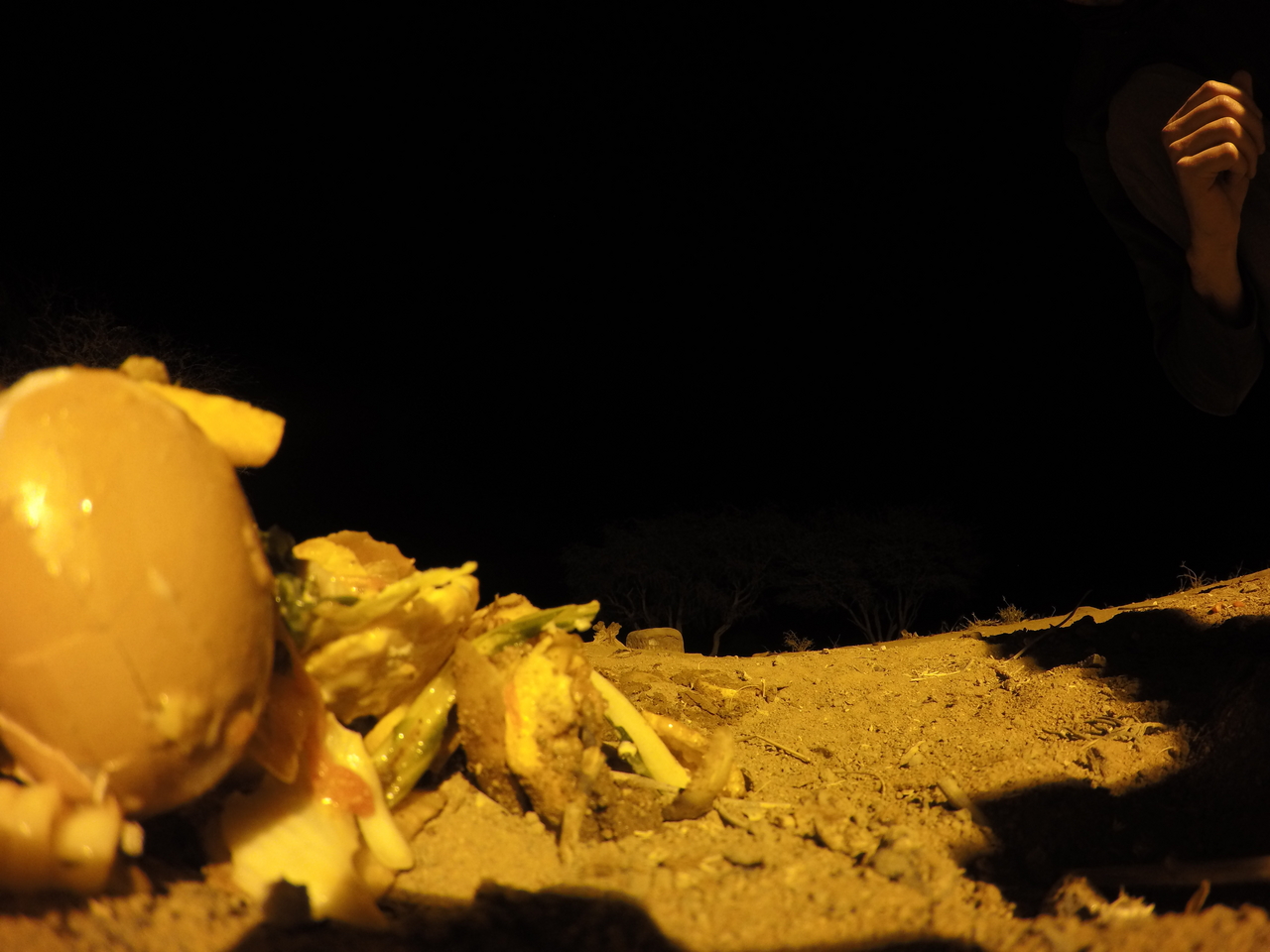 [10115] 2016_06_23_19_00_17_Africa_HERO4_Silver_IMG__03869.jpg