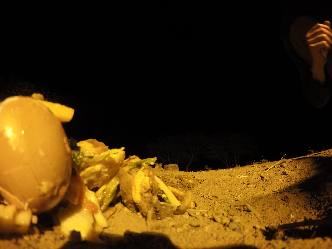 [10117] 2016_06_23_19_00_21_Africa_HERO4_Silver_IMG__03870.jpg