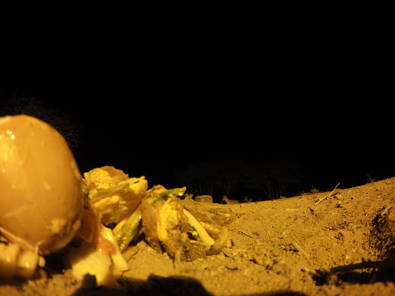 [10246] 2016_06_23_19_02_11_Africa_HERO4_Silver_IMG__00037.jpg