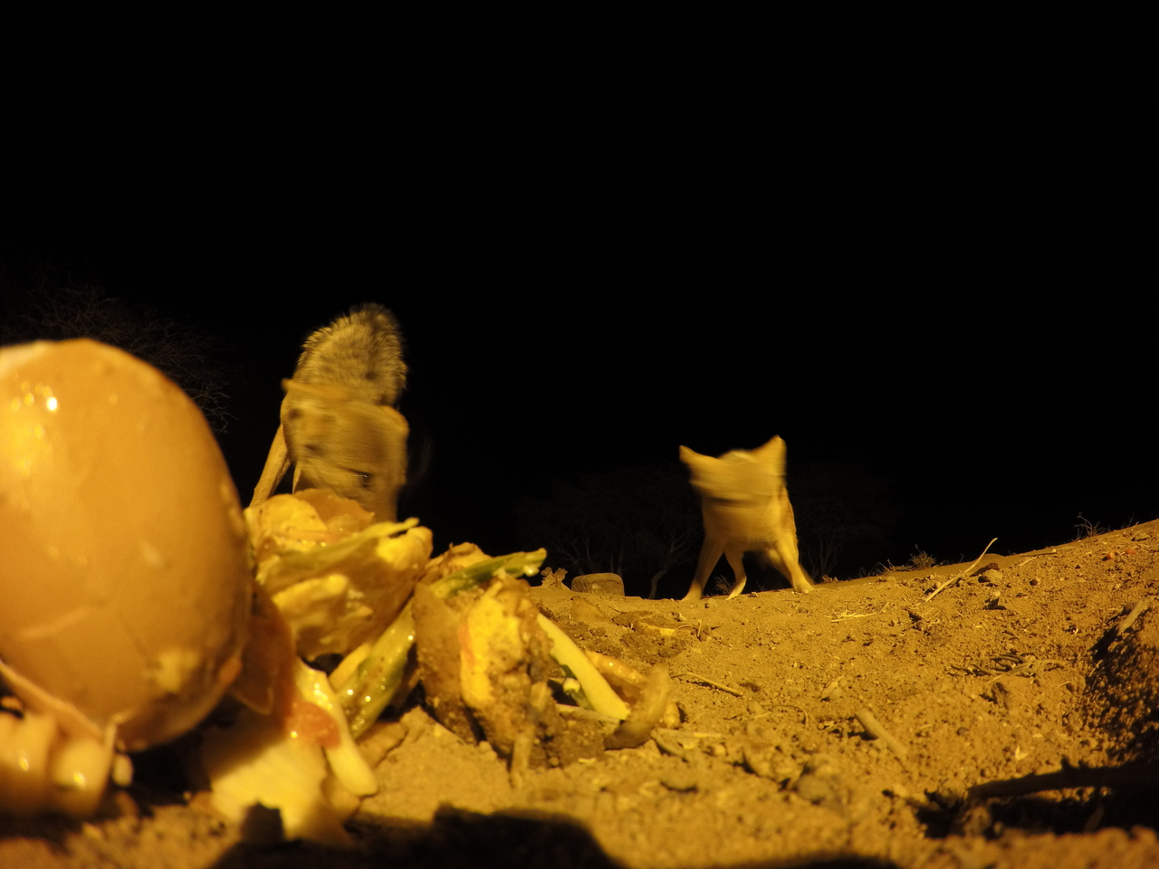 [10299] 2016_06_23_19_02_56_Africa_HERO4_Silver_IMG__03901.jpg