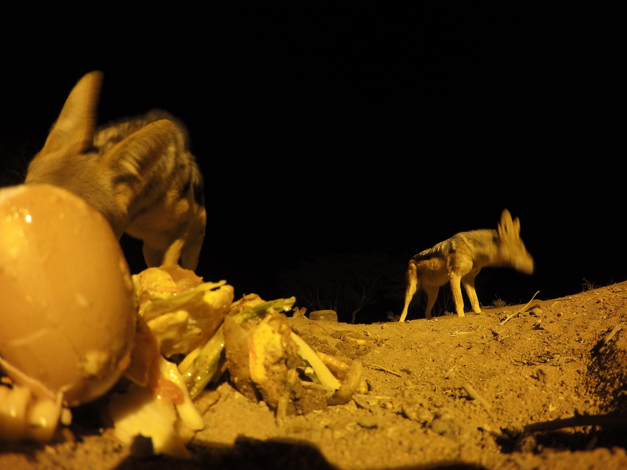 [10304] 2016_06_23_19_03_01_Africa_HERO4_Silver_IMG__00047.jpg