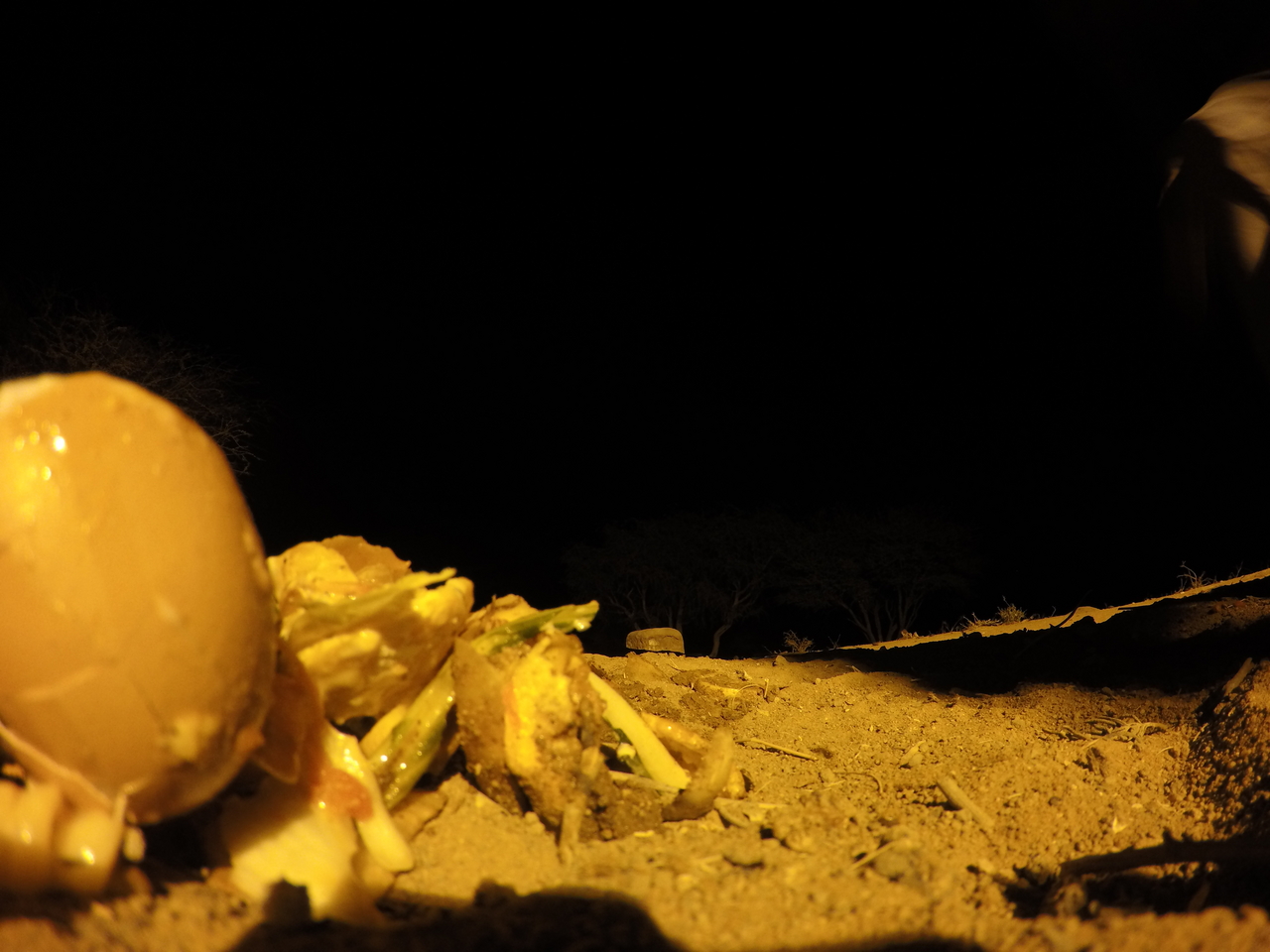 [10347] 2016_06_23_19_03_36_Africa_HERO4_Silver_IMG__03909.jpg