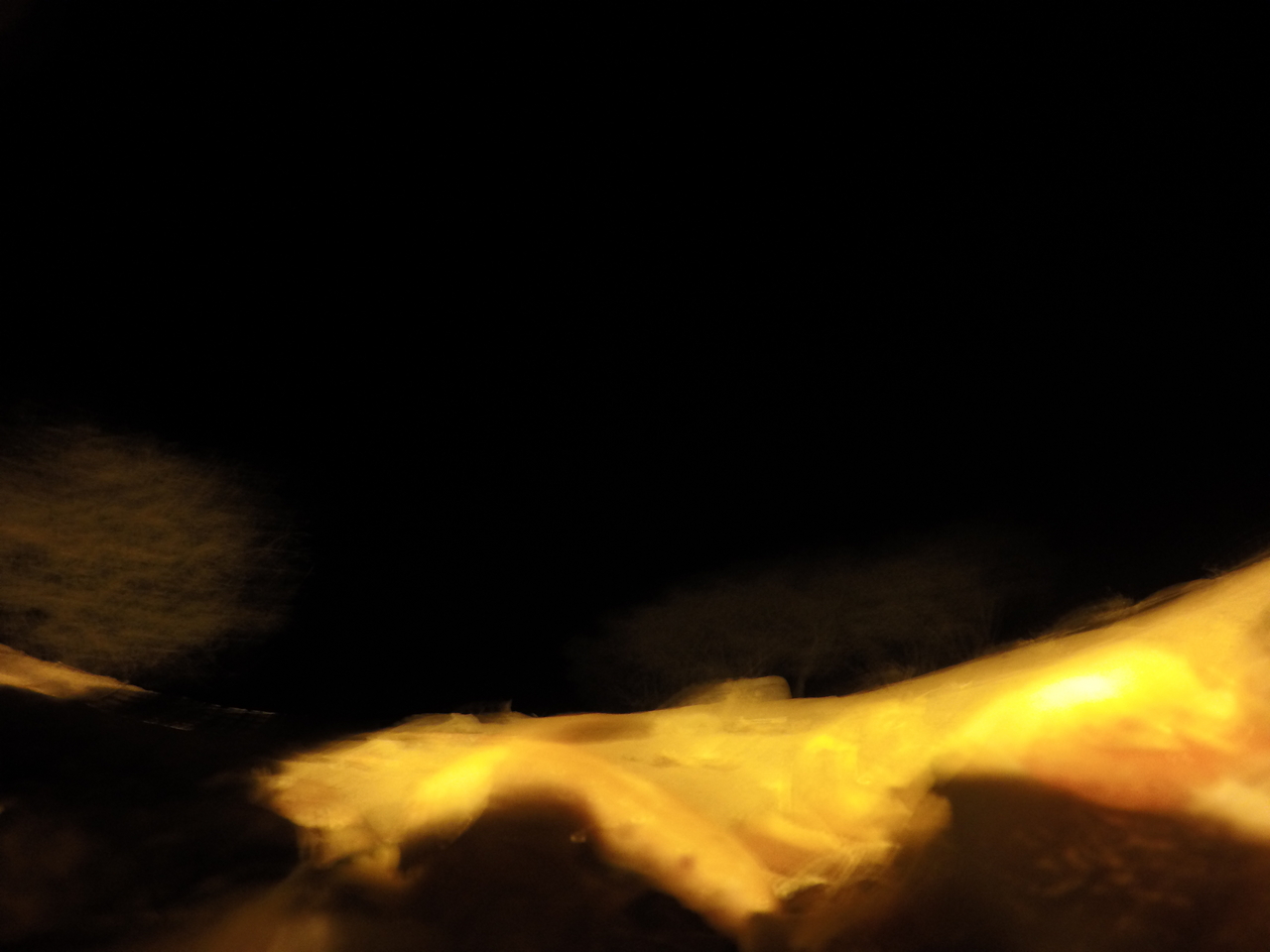 [10361] 2016_06_23_19_03_52_Africa_HERO4_Silver_IMG__03912.jpg