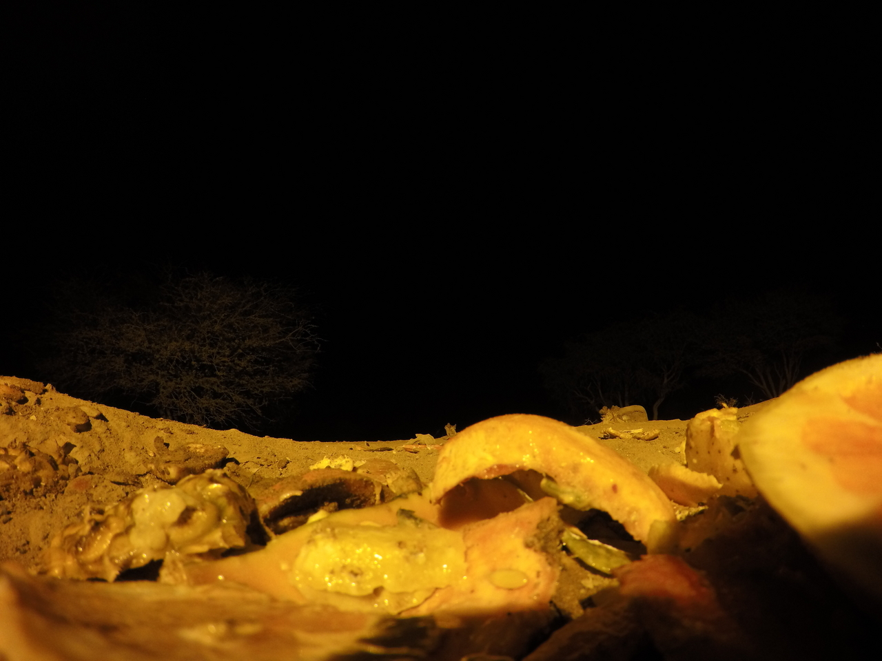 [10365] 2016_06_23_19_03_57_Africa_HERO4_Silver_IMG__03913.jpg