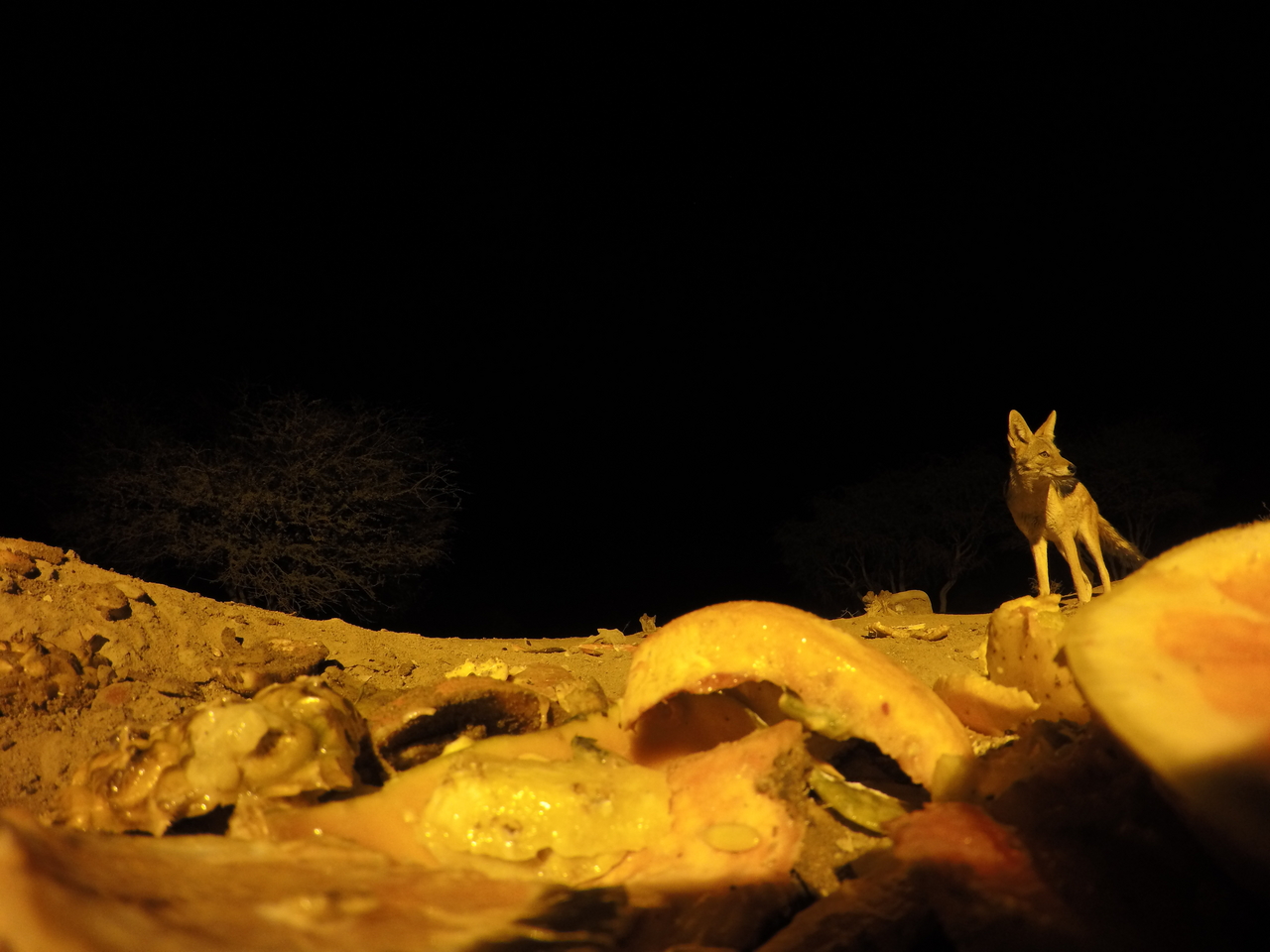 [10420] 2016_06_23_19_04_51_Africa_HERO4_Silver_IMG__00069.jpg