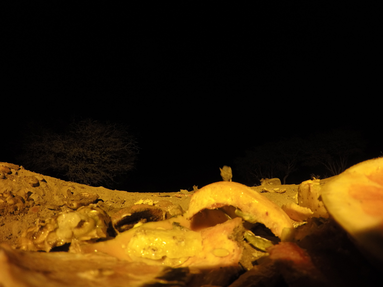 [10429] 2016_06_23_19_05_01_Africa_HERO4_Silver_IMG__03926.jpg