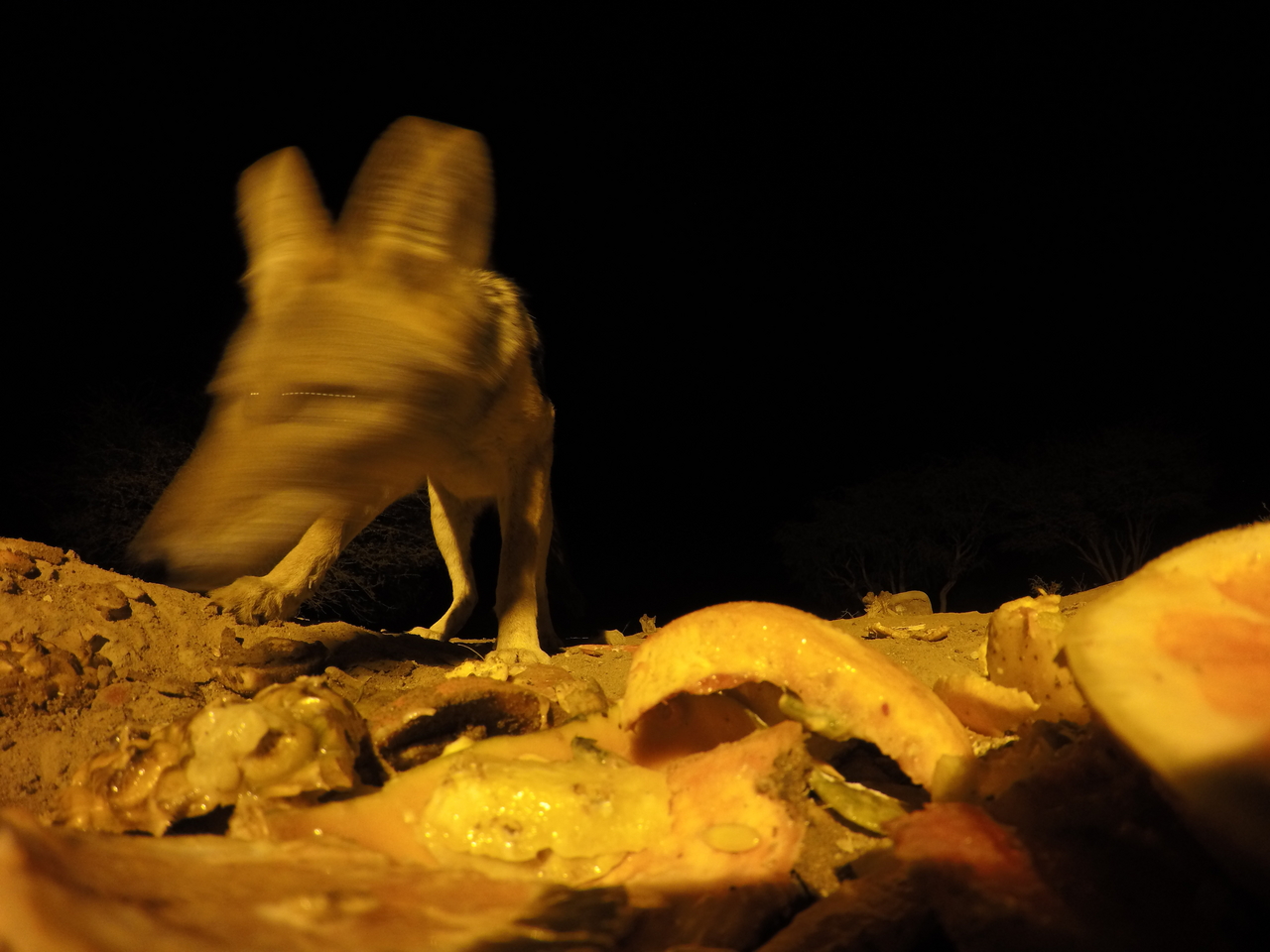 [10438] 2016_06_23_19_05_12_Africa_HERO4_Silver_IMG__00073.jpg