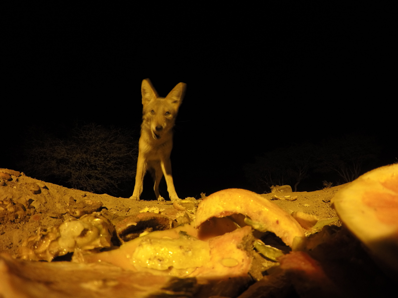 [10449] 2016_06_23_19_05_22_Africa_HERO4_Silver_IMG__03930.jpg