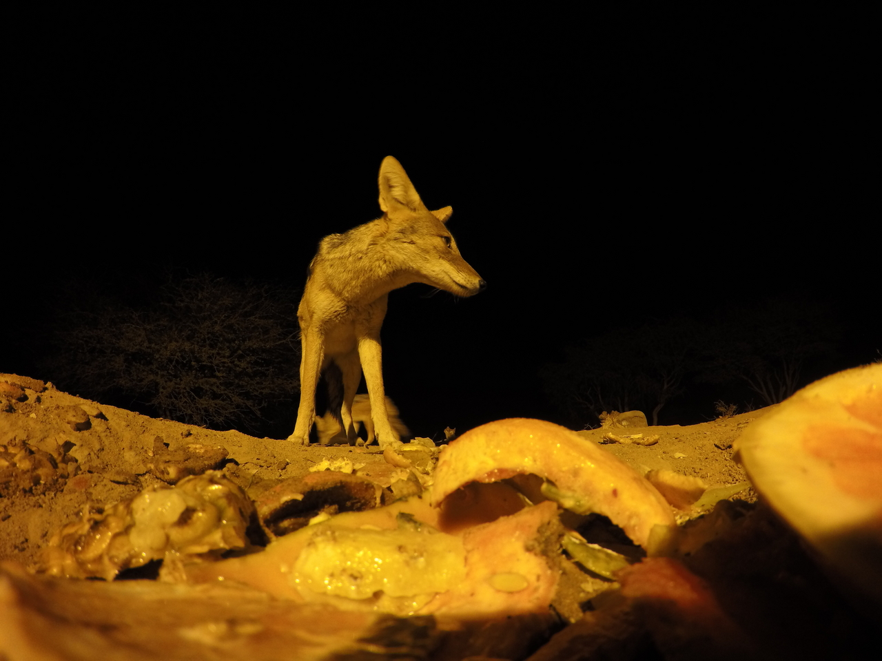 [10457] 2016_06_23_19_05_31_Africa_HERO4_Silver_IMG__03932.jpg