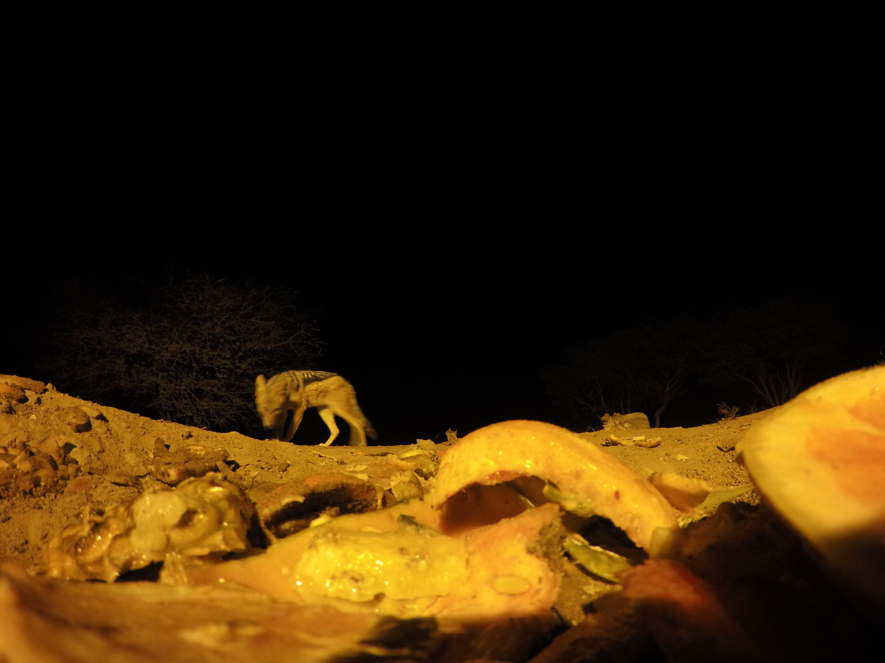 [10507] 2016_06_23_19_06_26_Africa_HERO4_Silver_IMG__03943.jpg