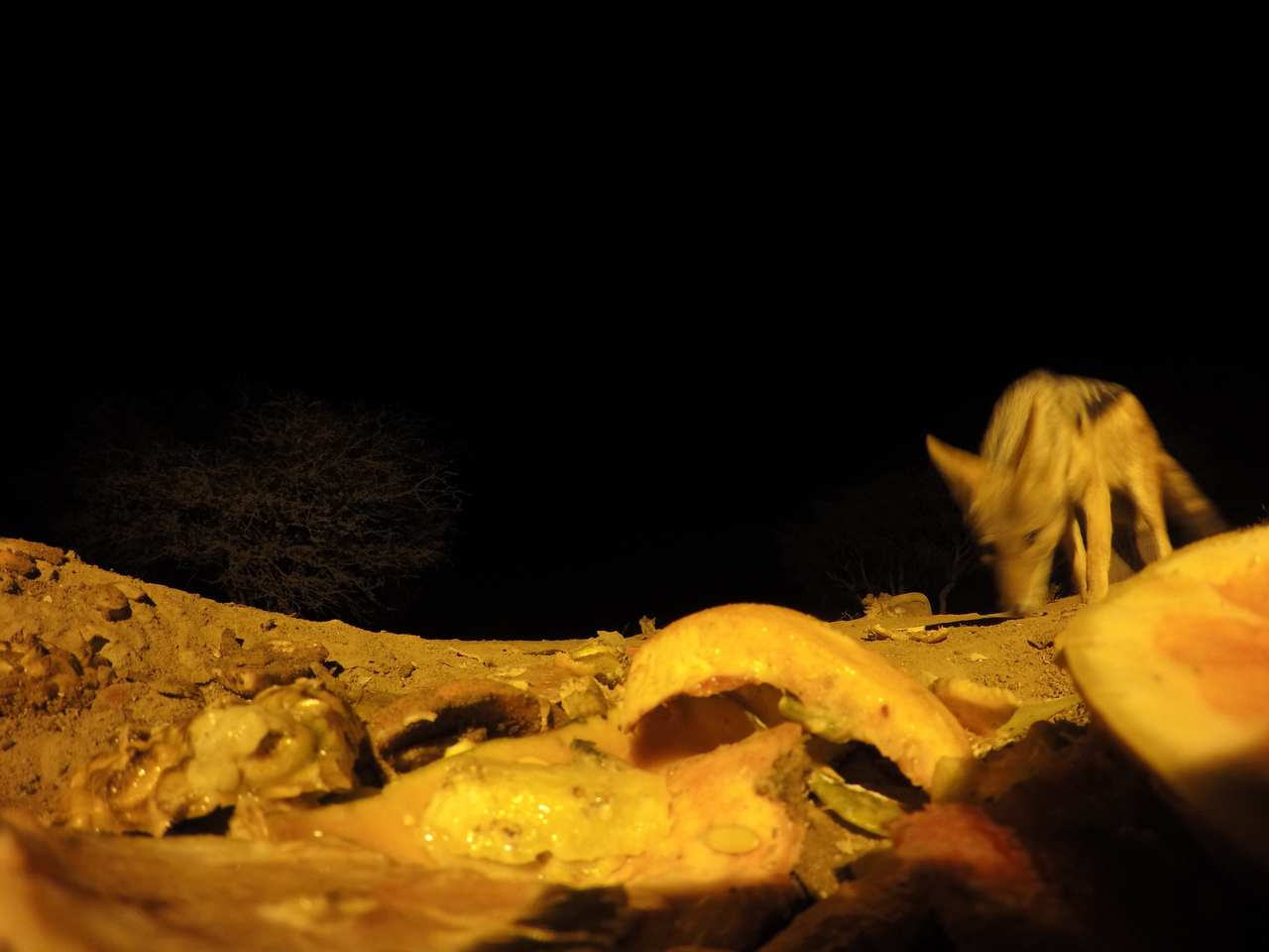 [10515] 2016_06_23_19_06_36_Africa_HERO4_Silver_IMG__03945.jpg