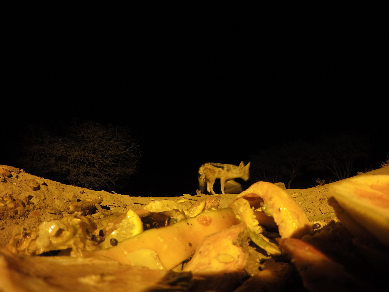 [10603] 2016_06_23_19_08_12_Africa_HERO4_Silver_IMG__03964.jpg