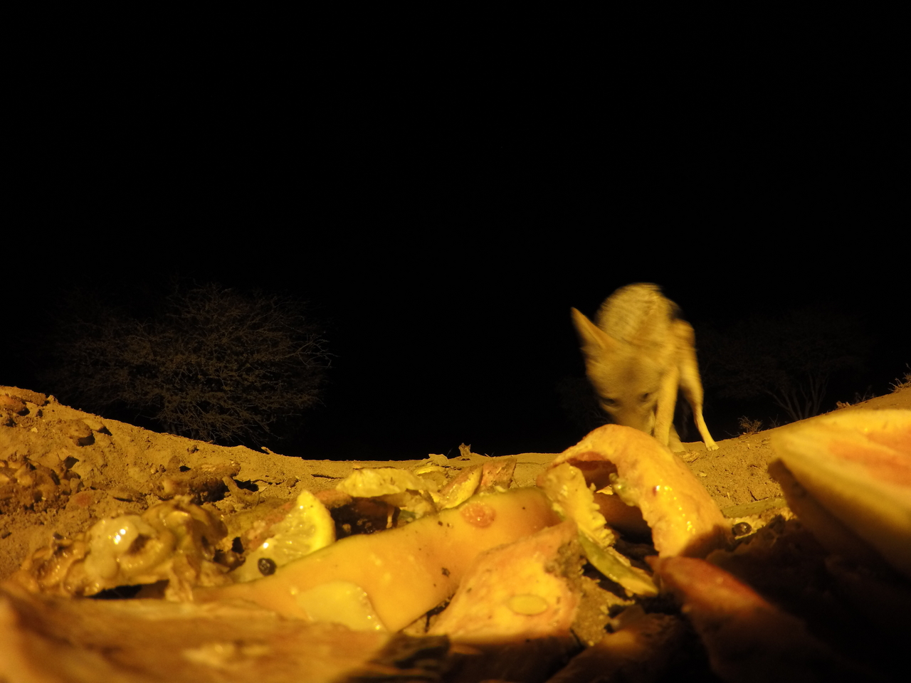 [10606] 2016_06_23_19_08_16_Africa_HERO4_Silver_IMG__00110.jpg