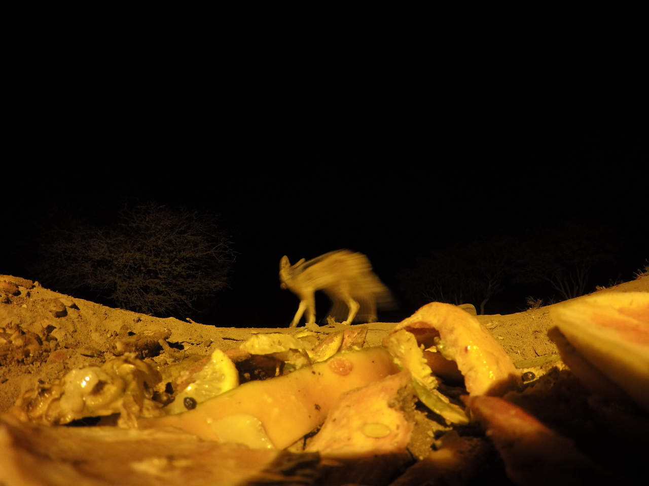 [10620] 2016_06_23_19_08_31_Africa_HERO4_Silver_IMG__00113.jpg