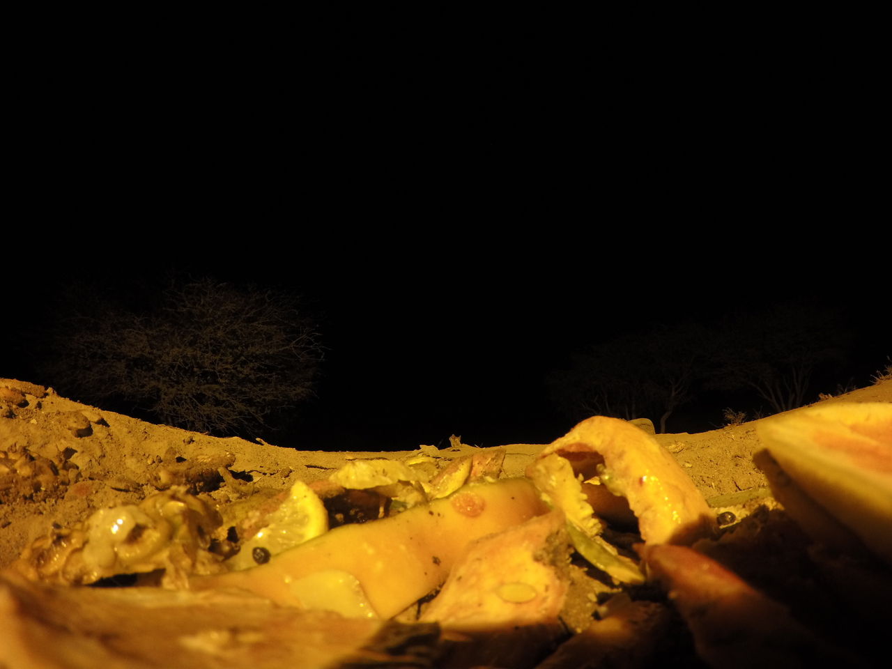 [10638] 2016_06_23_19_08_51_Africa_HERO4_Silver_IMG__00117.jpg