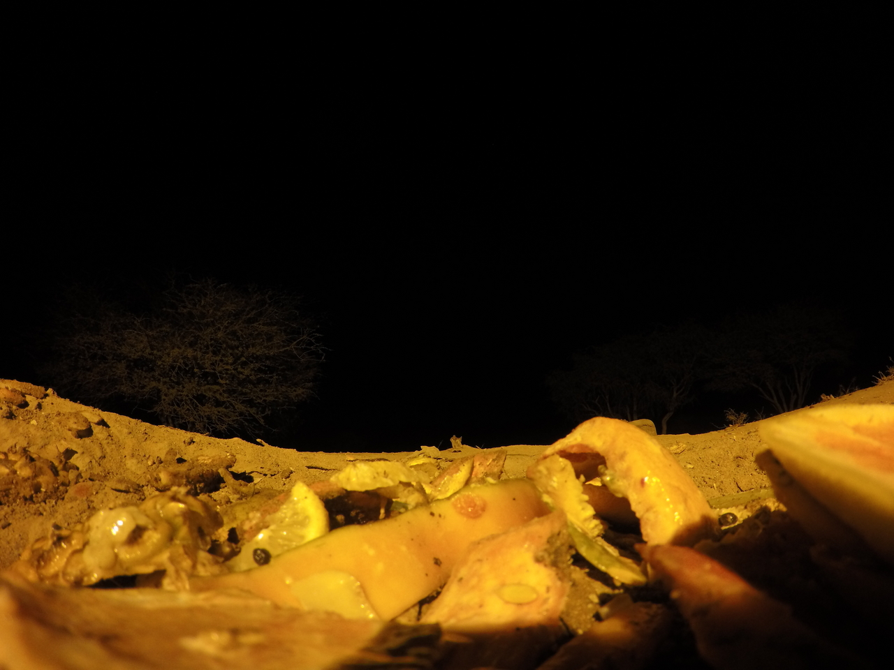 [10674] 2016_06_23_19_09_32_Africa_HERO4_Silver_IMG__00125.jpg