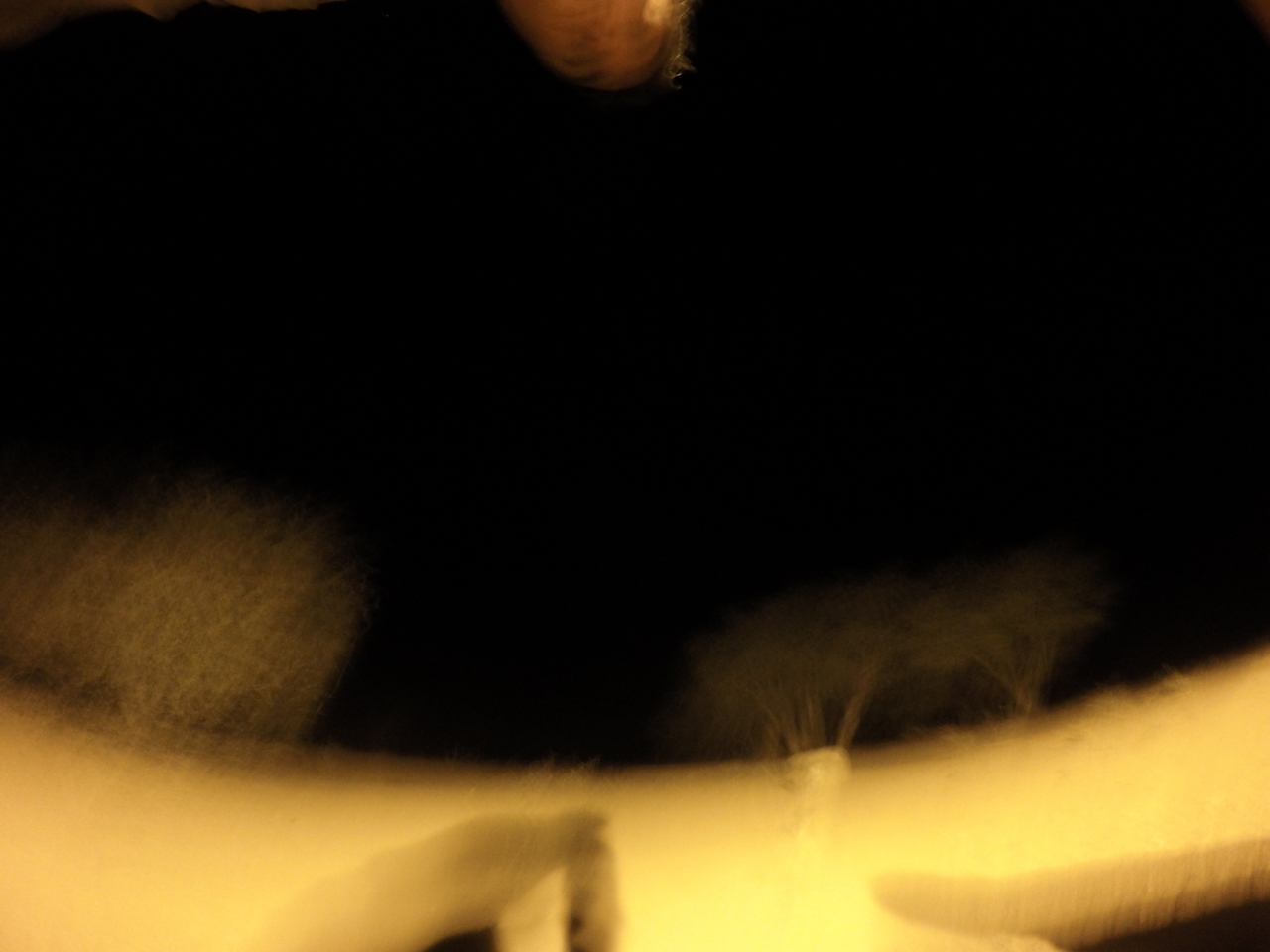 [10738] 2016_06_23_19_50_11_Africa_HERO4_Silver_IMG__03999.jpg