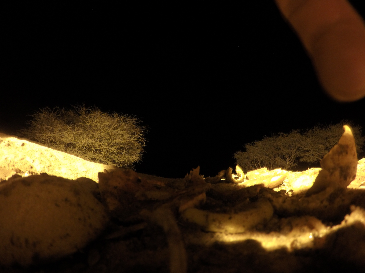 [10746] 2016_06_23_19_50_17_Africa_HERO4_Silver_IMG__04000.jpg