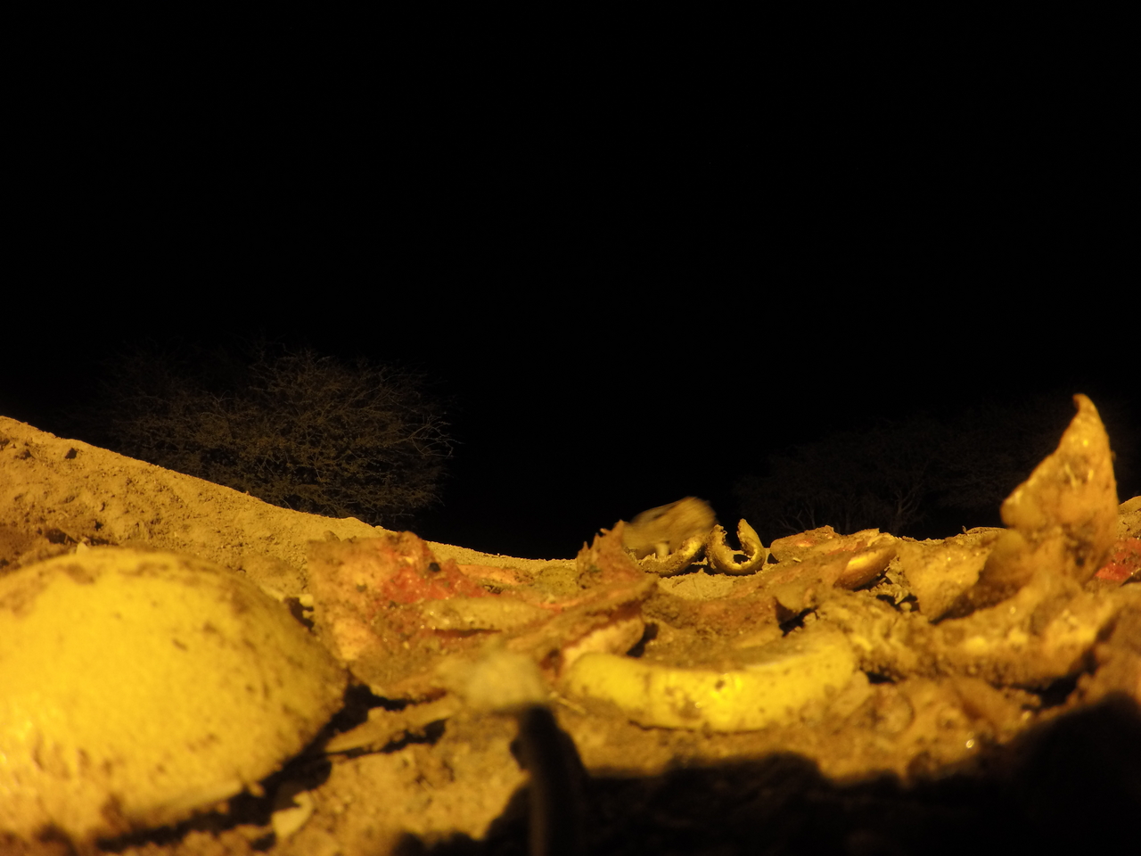 [10847] 2016_06_23_19_51_41_Africa_HERO4_Silver_IMG__00162.jpg