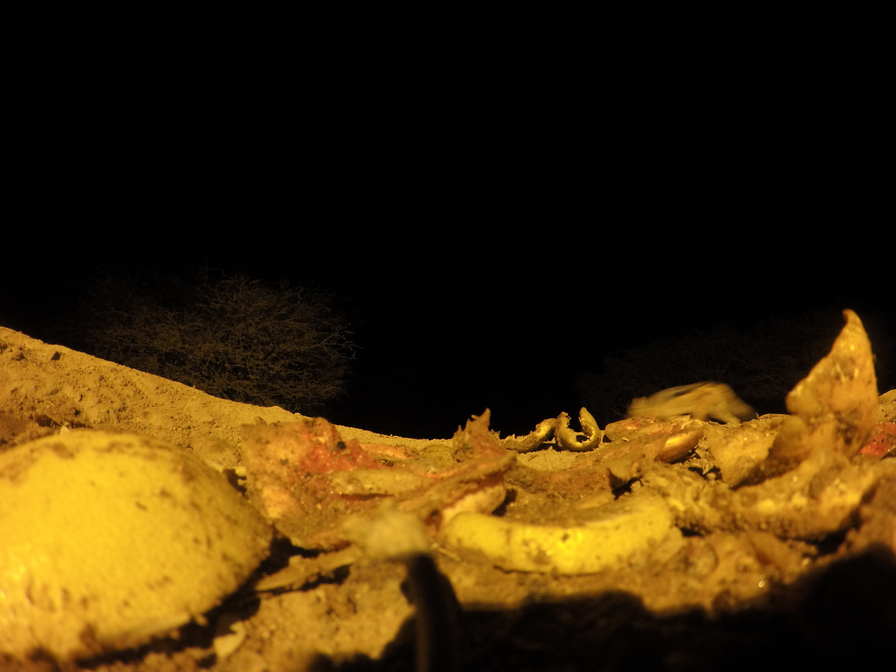 [10871] 2016_06_23_19_52_06_Africa_HERO4_Silver_IMG__00167.jpg