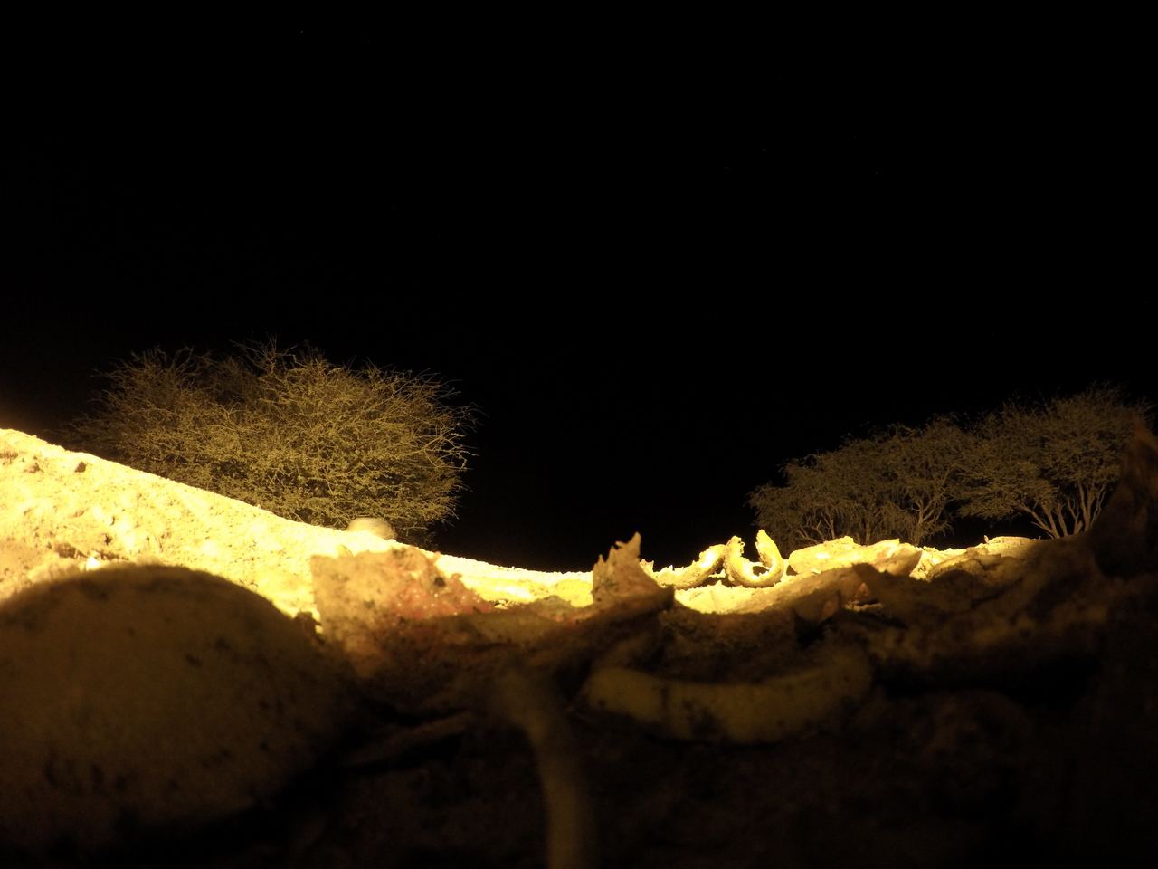 [10967] 2016_06_23_19_53_47_Africa_HERO4_Silver_IMG__00187.jpg