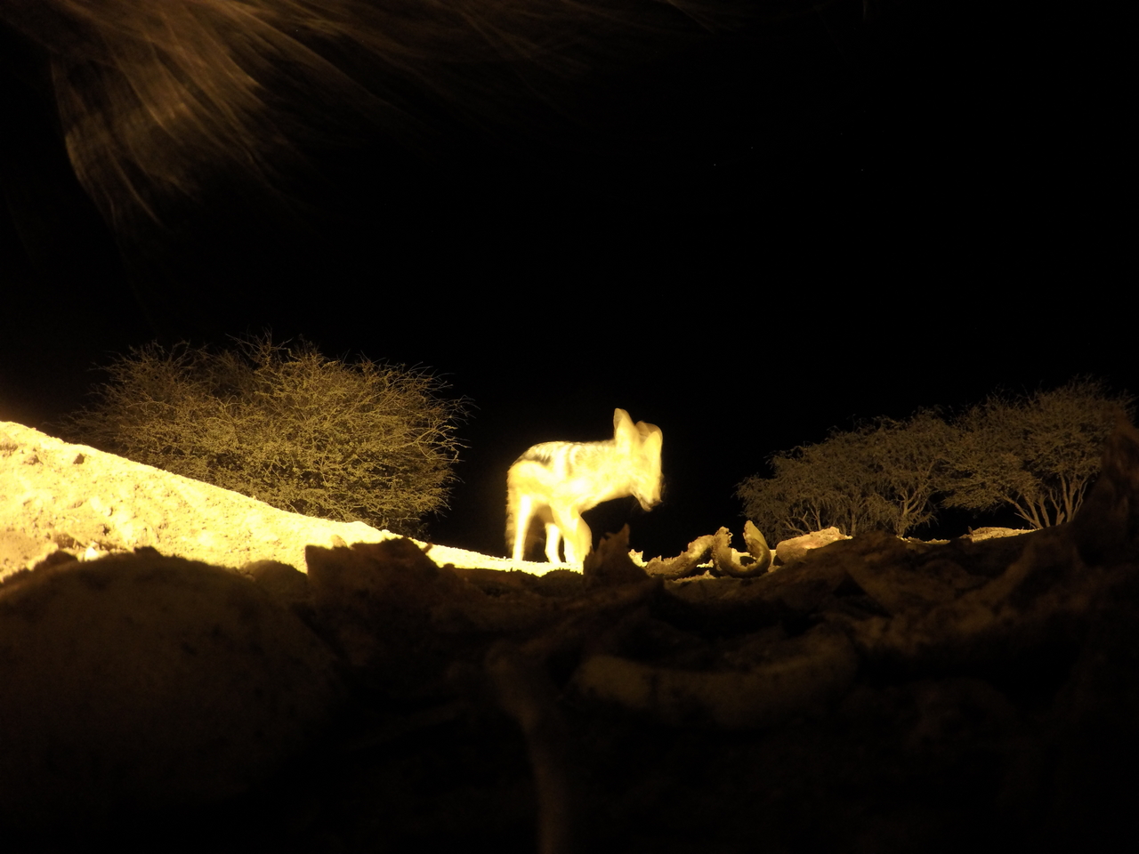 [10975] 2016_06_23_19_53_56_Africa_HERO4_Silver_IMG__00189.jpg