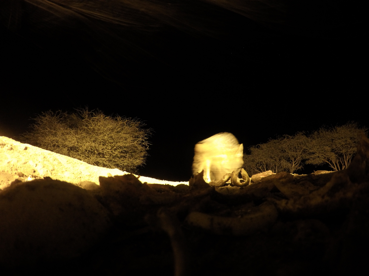 [10982] 2016_06_23_19_54_02_Africa_HERO4_Silver_IMG__04045.jpg