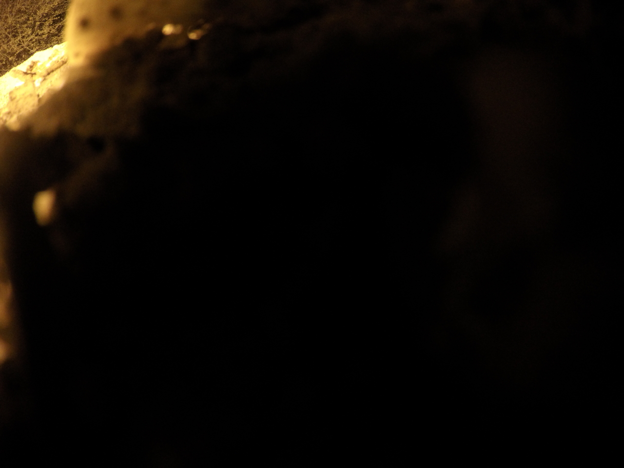 [11101] 2016_06_23_19_56_17_Africa_HERO4_Silver_IMG__00217.jpg