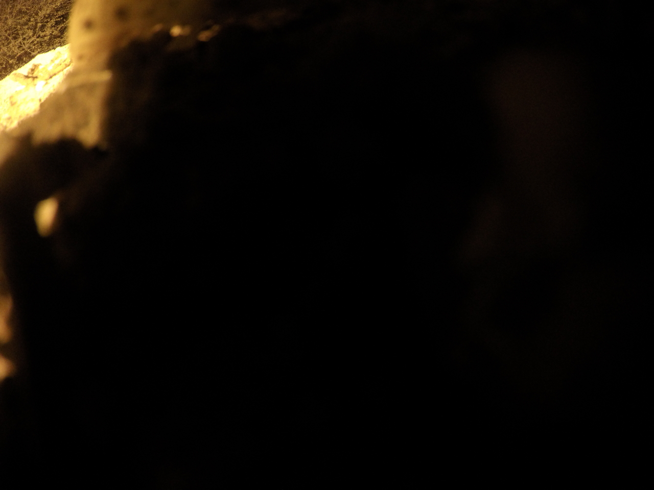 [11111] 2016_06_23_19_56_27_Africa_HERO4_Silver_IMG__00219.jpg