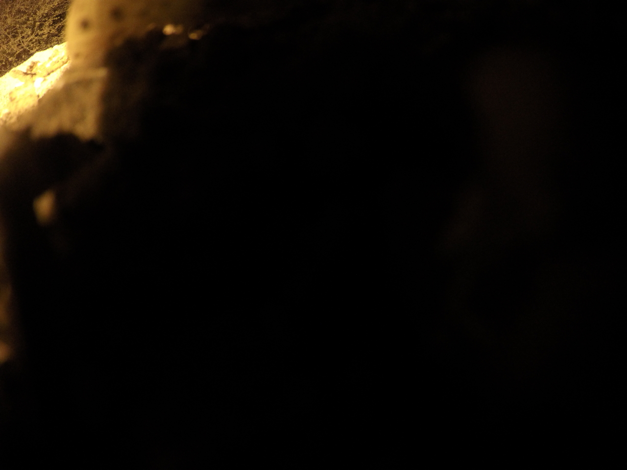 [11147] 2016_06_23_19_57_07_Africa_HERO4_Silver_IMG__00227.jpg