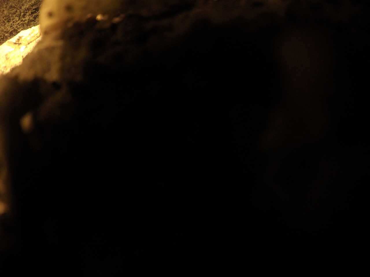 [11156] 2016_06_23_19_57_17_Africa_HERO4_Silver_IMG__04084.jpg