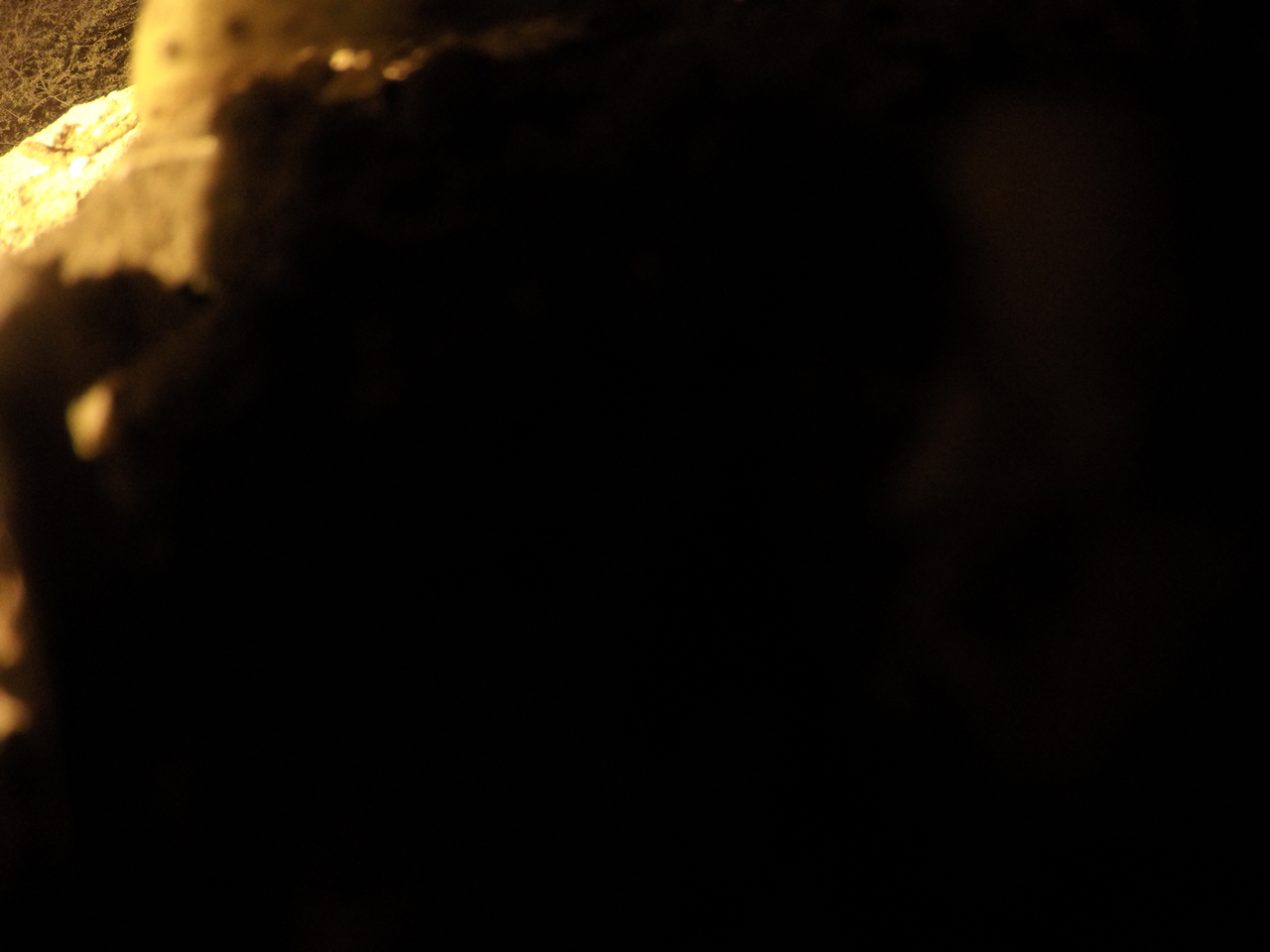 [11187] 2016_06_23_19_57_52_Africa_HERO4_Silver_IMG__00236.jpg