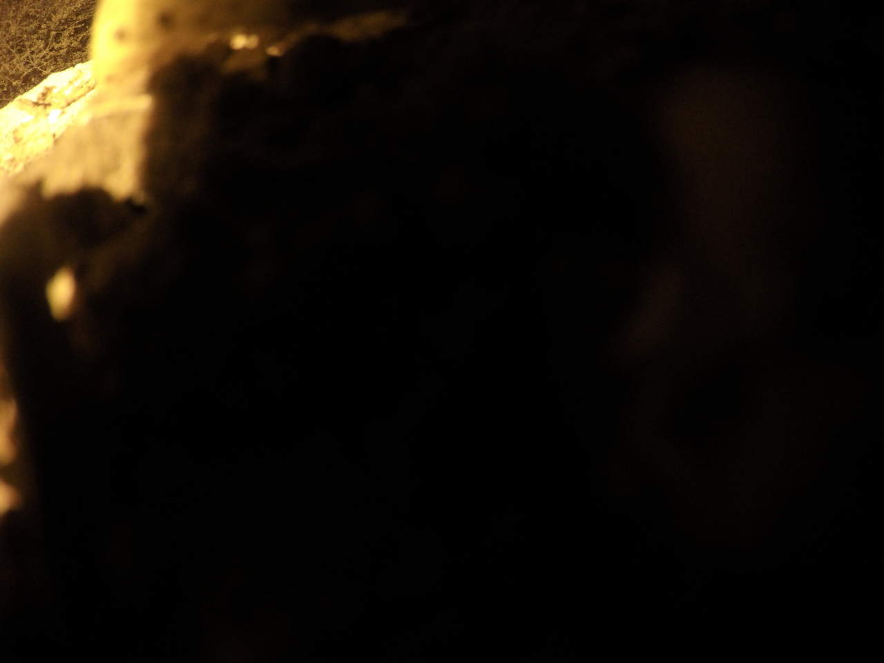 [11191] 2016_06_23_19_57_57_Africa_HERO4_Silver_IMG__00237.jpg