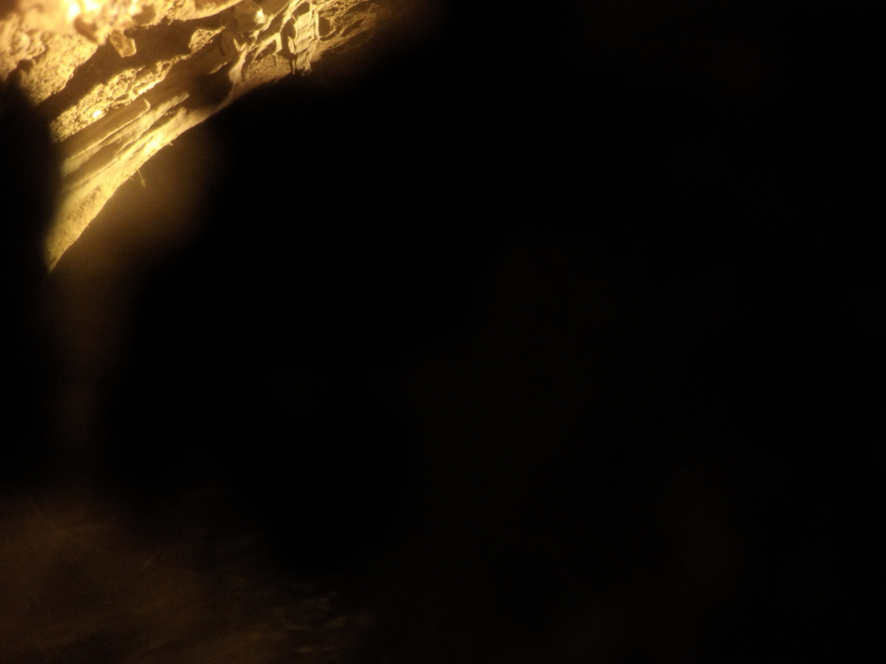 [11936] 2016_06_23_20_08_02_Africa_HERO4_Silver_IMG__00358.jpg