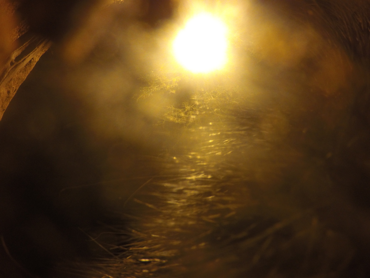 [12002] 2016_06_23_20_08_51_Africa_HERO4_Silver_IMG__04223.jpg