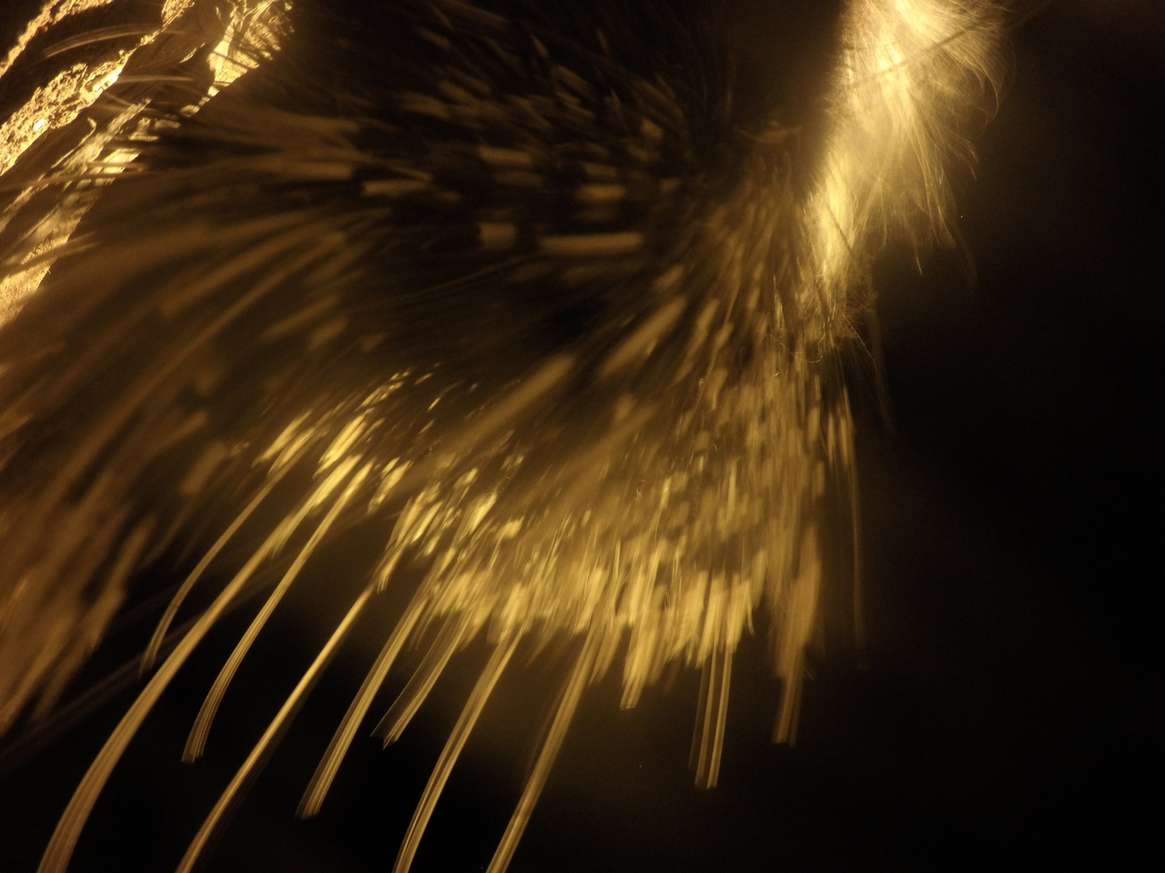 [12076] 2016_06_23_20_09_57_Africa_HERO4_Silver_IMG__04236.jpg