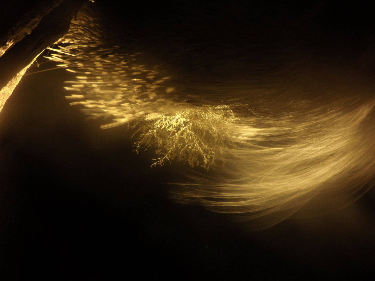 [12094] 2016_06_23_20_10_12_Africa_HERO4_Silver_IMG__04239.jpg