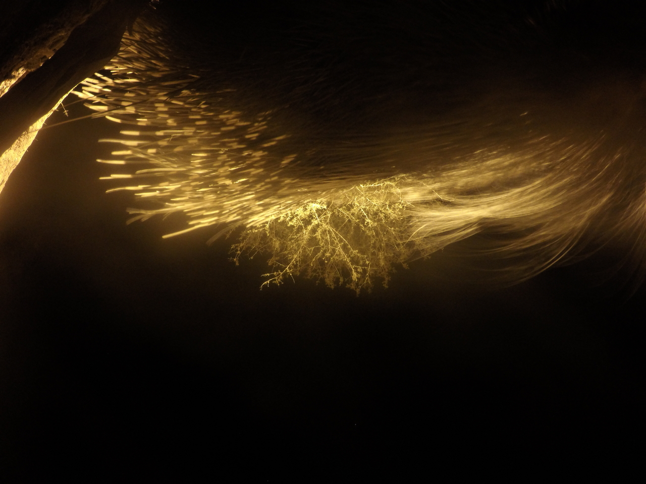 [12107] 2016_06_23_20_10_22_Africa_HERO4_Silver_IMG__04241.jpg